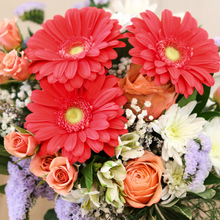 Load image into Gallery viewer, Coral Treasure