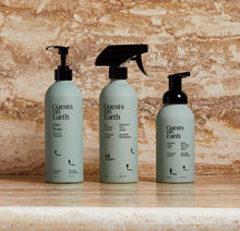 Load image into Gallery viewer, Dish Soap | Citrus Oasis