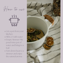 Load image into Gallery viewer, Be Cozy Simmer Pot Mix