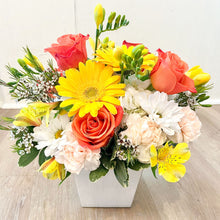 Load image into Gallery viewer, Citrus Surprise