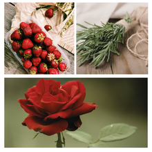 Load image into Gallery viewer, Be Celebrated Simmer Pot Mix