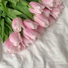 Load image into Gallery viewer, Clean Laundry Push Scent Refill