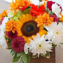 Load image into Gallery viewer, Fall in the Wood