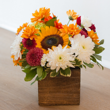 Load image into Gallery viewer, Fall in the Wood