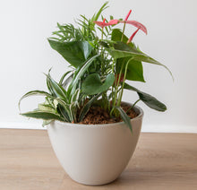 Load image into Gallery viewer, Botanical Antherium Garden - Round - Two Sizes