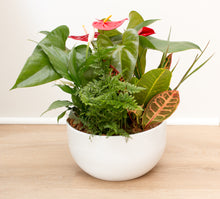 Load image into Gallery viewer, Botanical Antherium Garden - Round - Two Sizes