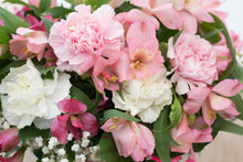 Load image into Gallery viewer, Alstromeria All Day