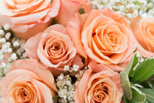Load image into Gallery viewer, The Rose Bowl Arrangement