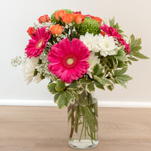 Load image into Gallery viewer, Bold and Bright