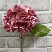 Load image into Gallery viewer, Rose Real Touch Hydrangea
