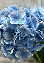 Load image into Gallery viewer, Real Touch Blue Hydrangea Stem
