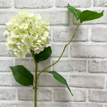 Load image into Gallery viewer, Real Touch White/Green Hydrangea Stems
