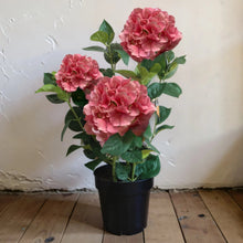 Load image into Gallery viewer, Real Touch Hydrangea Plant | Four Colours
