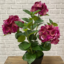 Load image into Gallery viewer, Real Touch Hydrangea Plant | Four Colours
