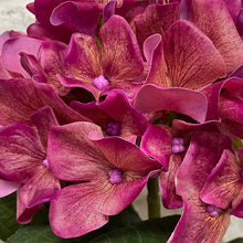 Load image into Gallery viewer, Real Touch Hydrangea Plant | Four Colours

