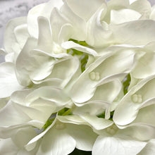 Load image into Gallery viewer, Real Touch Hydrangea Plant | Four Colours
