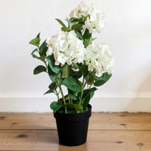 Load image into Gallery viewer, Real Touch Hydrangea Plant | Four Colours
