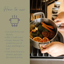 Load image into Gallery viewer, Be Merry &amp; Bright Simmer Pot Mix
