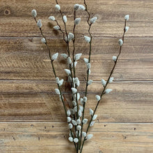 Load image into Gallery viewer, Large Pussy Willow Bundle
