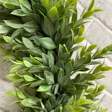 Load image into Gallery viewer, Ruscus Wreath
