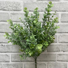 Load image into Gallery viewer, Seeded Eucalyptus Bunch
