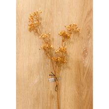 Load image into Gallery viewer, Dried Baby&#39;s Breath
