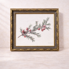 Load image into Gallery viewer, Red-Berry Mistletoe Framed Art
