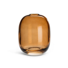 Load image into Gallery viewer, Glass Bud Vase Collection
