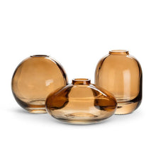 Load image into Gallery viewer, Glass Bud Vase Collection
