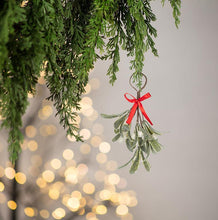Load image into Gallery viewer, Mistletoe Cluster
