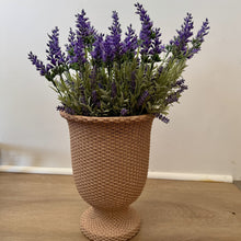 Load image into Gallery viewer, Lavender Bush
