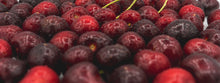 Load image into Gallery viewer, Sweet Cherry Drive Scent Refill
