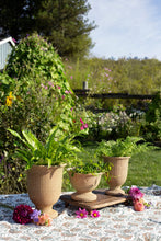 Load image into Gallery viewer, BASKETWEAVE CEMENT LOW URN
