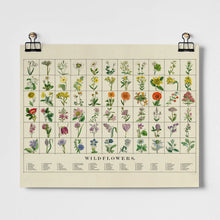 Load image into Gallery viewer, Wildflowers Fine Art Print

