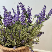 Load image into Gallery viewer, Lavender Bush
