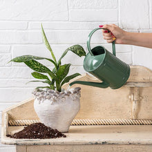 Load image into Gallery viewer, Classic Green Watering Can
