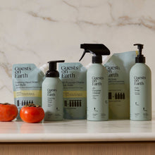Load image into Gallery viewer, Dish Soap Bulk Refill | Citrus Oasis
