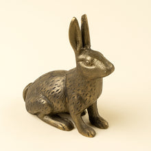Load image into Gallery viewer, Cast Iron Gold Bunny | Two Sizes
