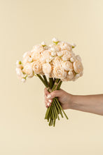 Load image into Gallery viewer, Ranunculus Bouquet | Cream
