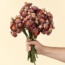Load image into Gallery viewer, Ranunculus Bouquet | Deep Pink
