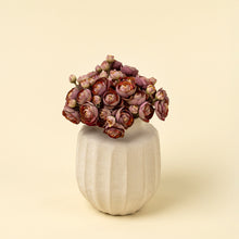 Load image into Gallery viewer, Ranunculus Bouquet | Deep Pink
