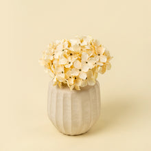 Load image into Gallery viewer, Hydrangea Bouquet | Cream
