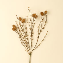 Load image into Gallery viewer, Wispy Twig Spray
