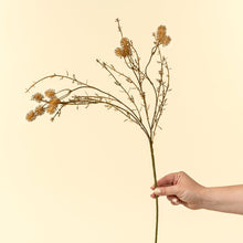 Load image into Gallery viewer, Wispy Twig Spray
