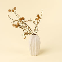 Load image into Gallery viewer, Wispy Twig Spray

