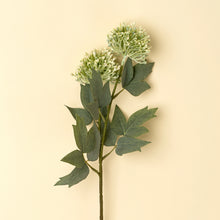 Load image into Gallery viewer, Sedum Spray
