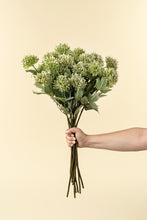 Load image into Gallery viewer, Sedum Spray
