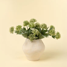 Load image into Gallery viewer, Sedum Spray
