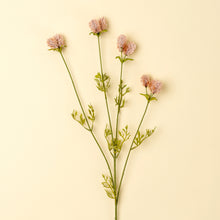 Load image into Gallery viewer, Dandelion Pom Pink Spray
