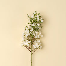 Load image into Gallery viewer, Delphinium Spray
